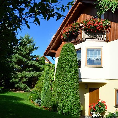 Ferienwohnung Sonnenblick ビショフスヴェルダ エクステリア 写真